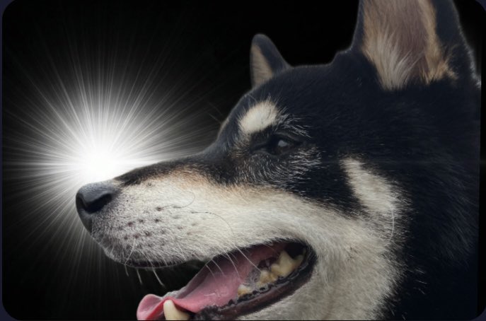 ○ -maru- tweet media