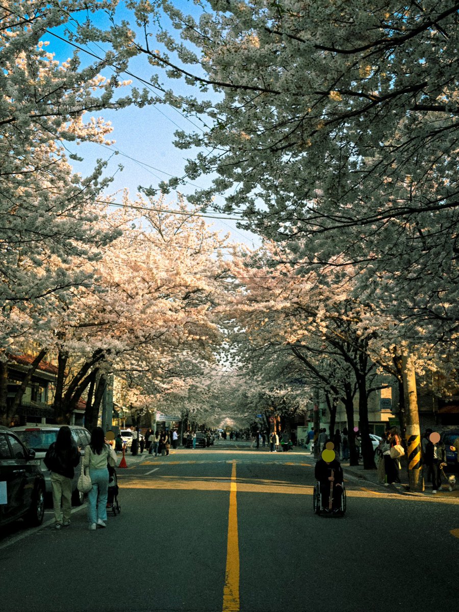 asahiprints's tweet photo. spring 2024                                 spring 2026 https://t.co/Vi6hPCEXJb