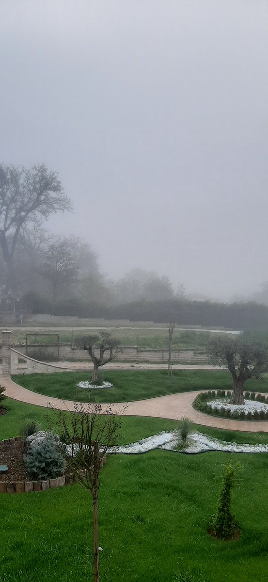 massimospilabotte tweet media