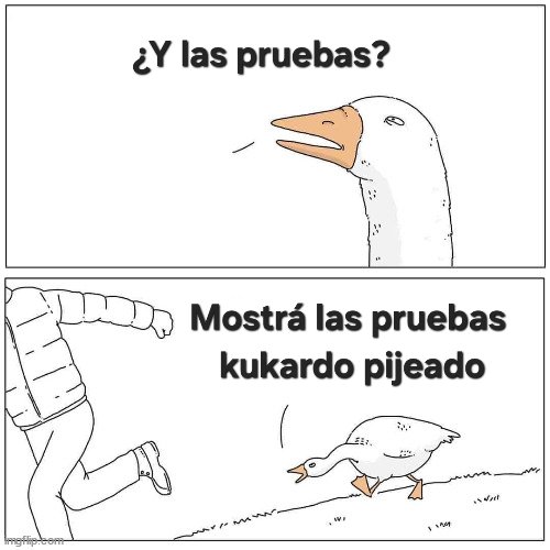 CHASE 🇦🇷 tweet media