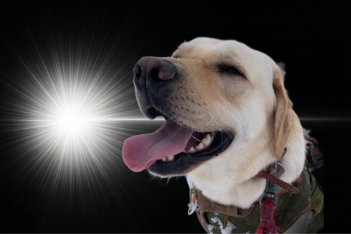 K®️®️®️ tweet media