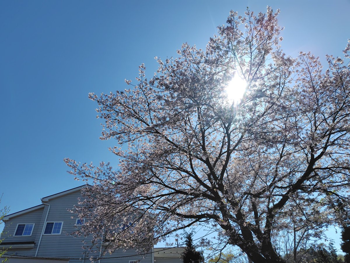 ヒデボー tweet media