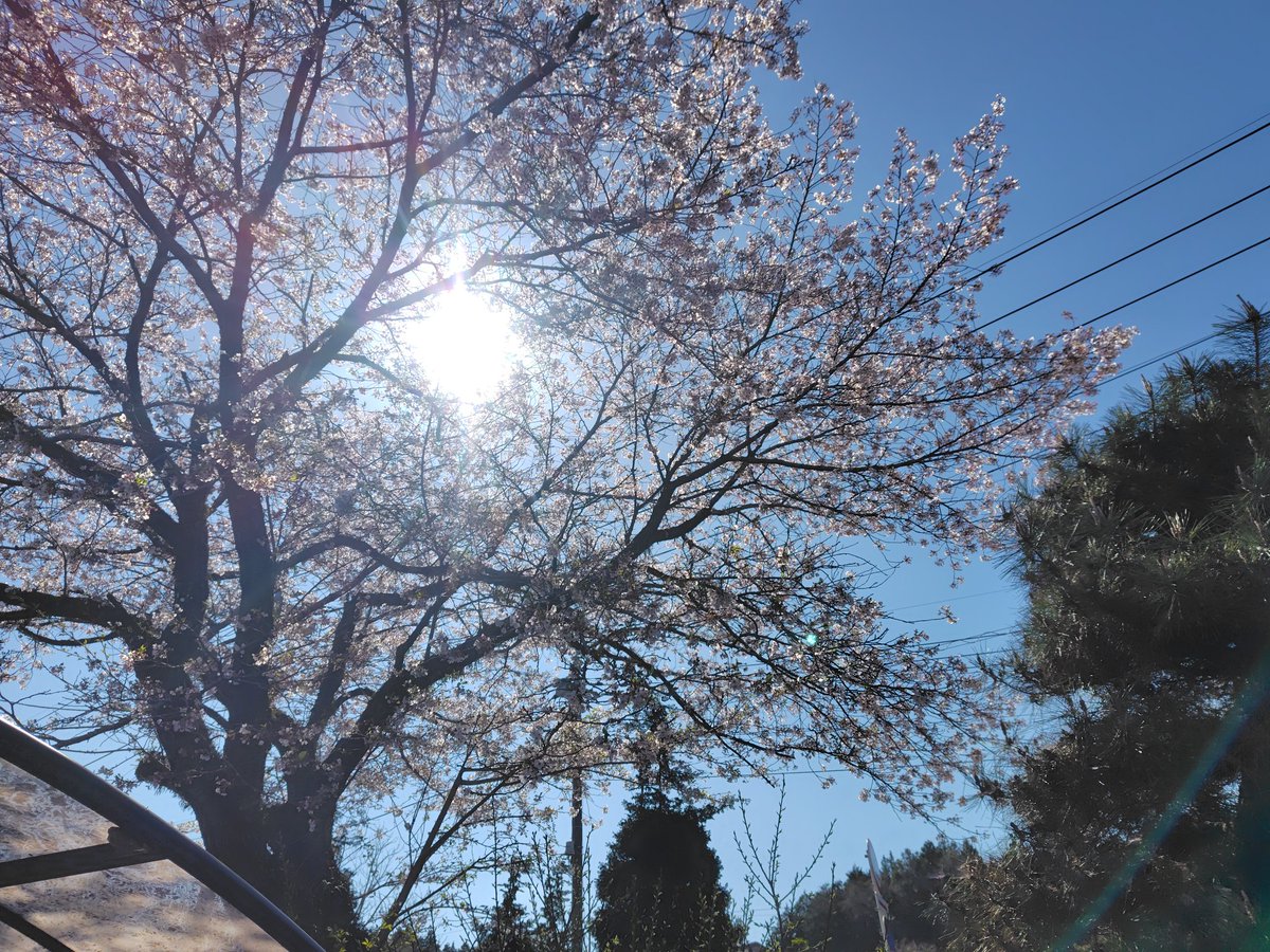 ヒデボー tweet media