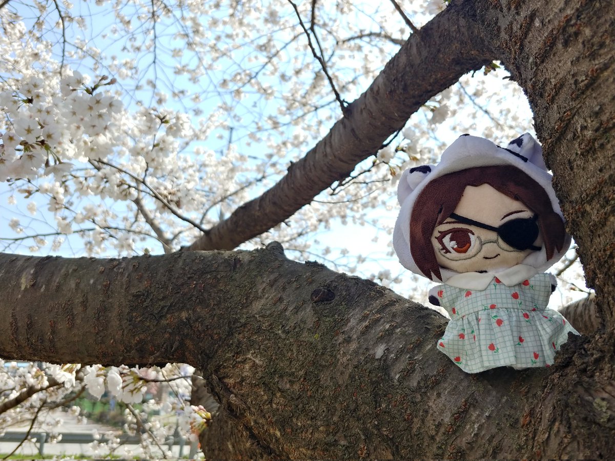 🌲코락 tweet media