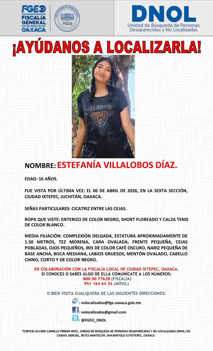 OAXACA AL DIA NOTICIAS tweet media