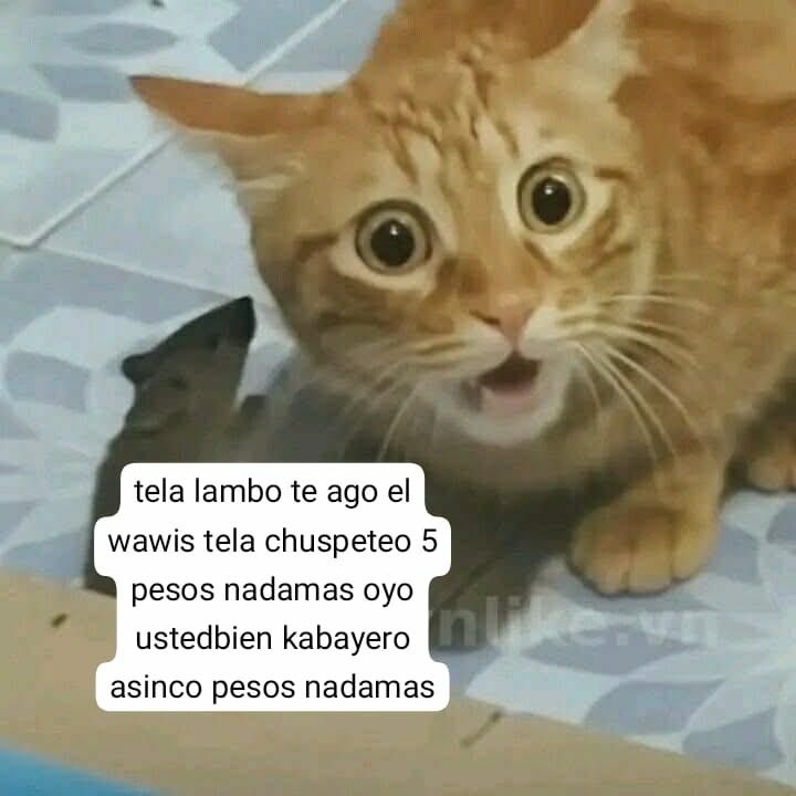 ­ ­ ­ ­­ ­ ­ ­­ ­ ­ ­𝑹𝐴𝑉𝐸𝑁 𓉸ྀི .ᐟ tweet media