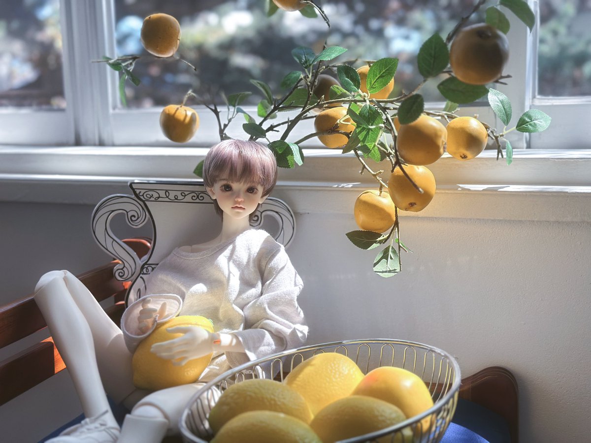 ❄️동결건조🕯️뚜시🕯️❄️ tweet media