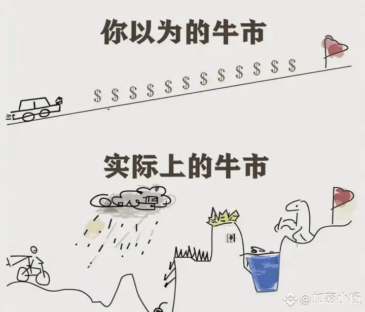 社Q君crypto tweet media