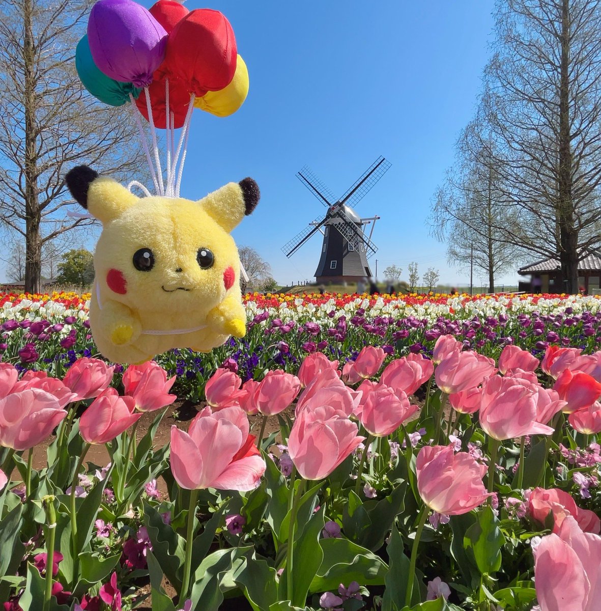 ⚡ぱぴもち⚡ tweet media