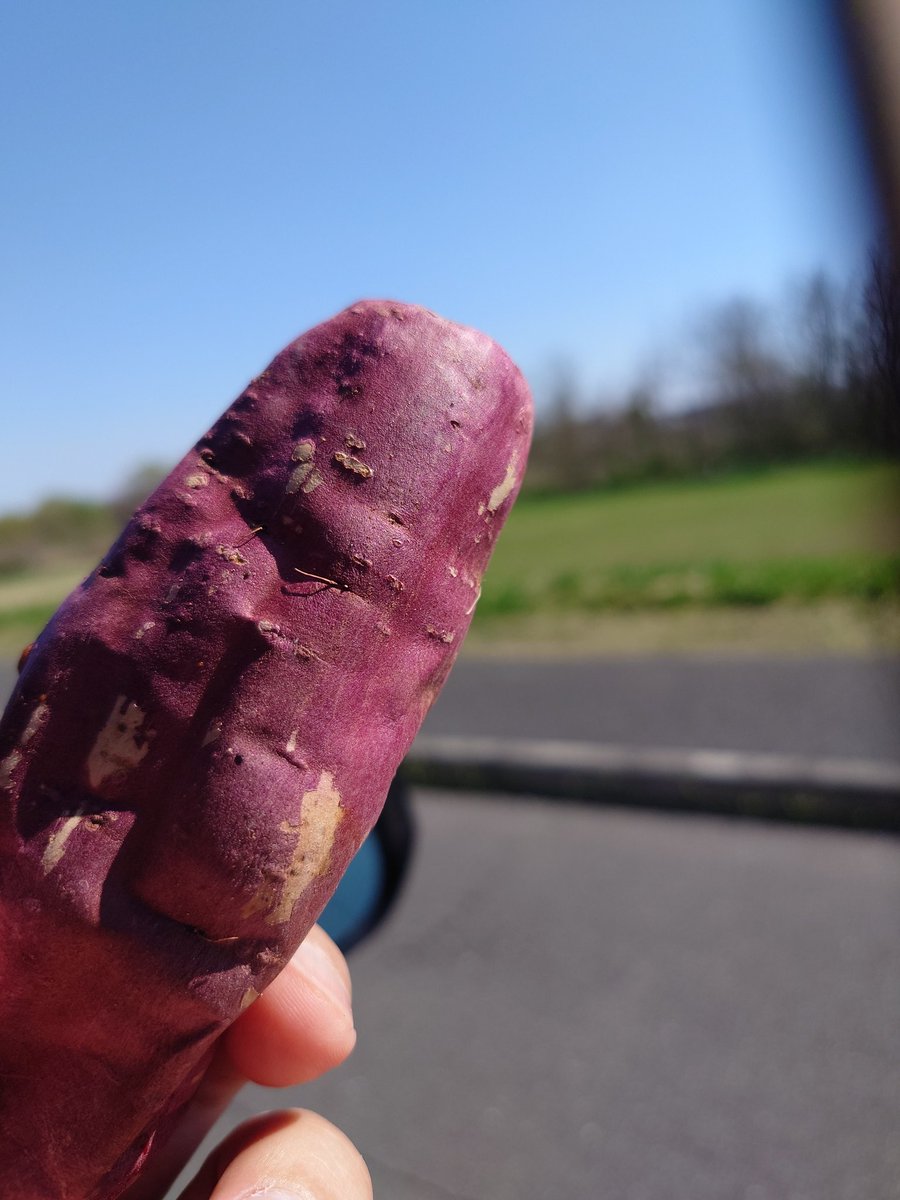 多摩川で修業中 tweet media