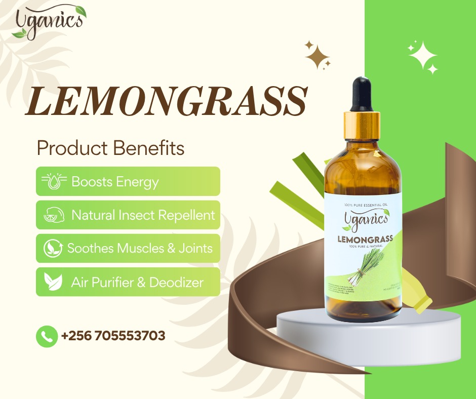 Uganics's tweet photo. Fresh. Powerful. Naturally Protective 🌿✨

Stay energized, protected, and refreshed with the goodness of lemongrass.

From keeping insects away to soothing your body and purifying your space, this is everyday wellness in a bottle.
📞 +256 705 553703 https://t.co/ANnEl1JuP8
