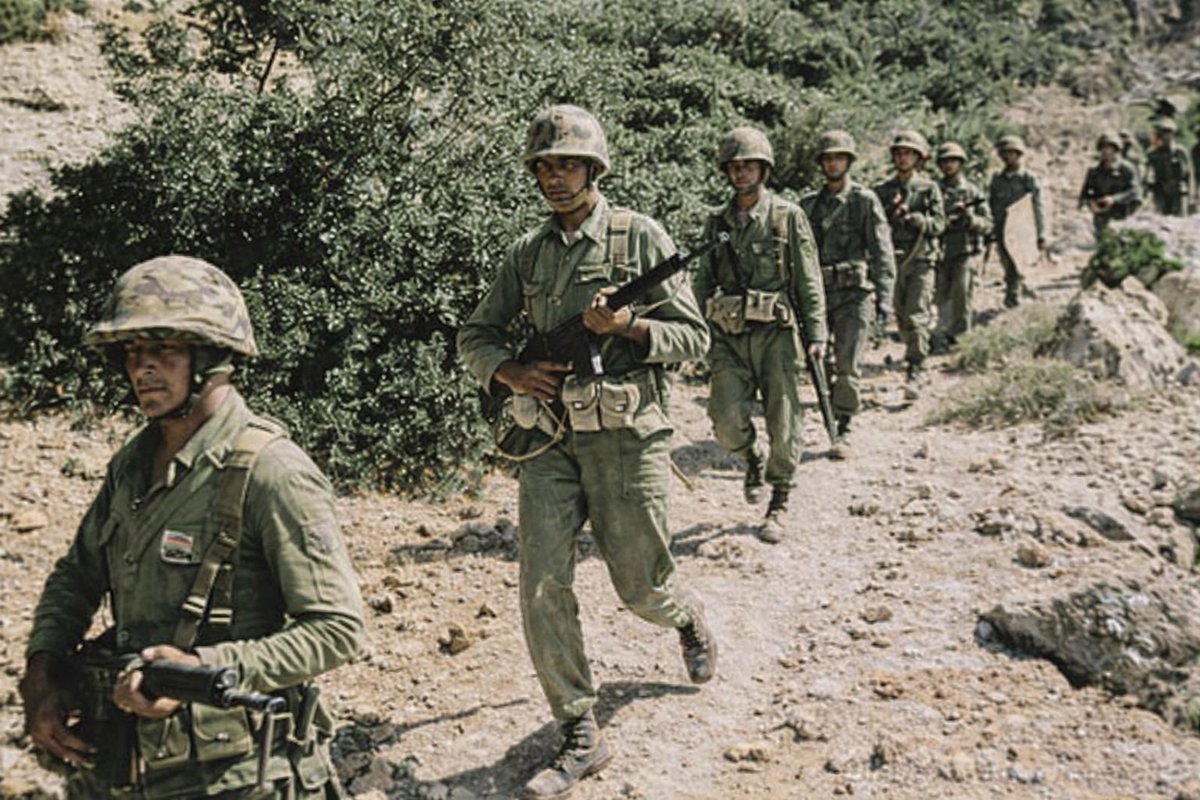 Based Türkiye 🇹🇷 tweet media