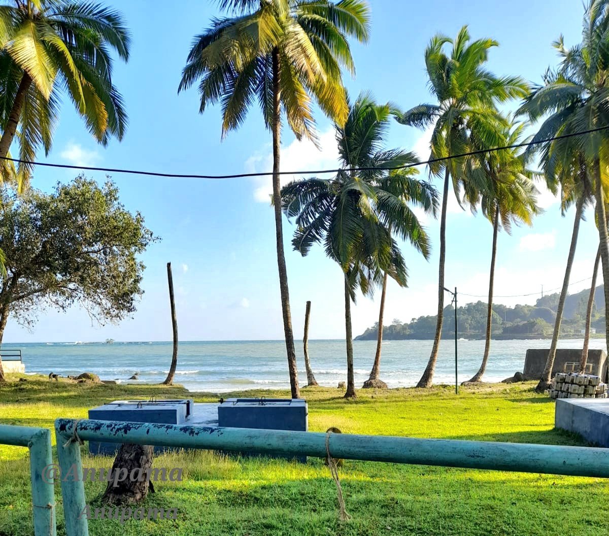 Anupama88522904's tweet image. It’s Water Wednesday!
Share your fave water shots 🌊

#AnuClicks 
#theme_pic_India_seashore