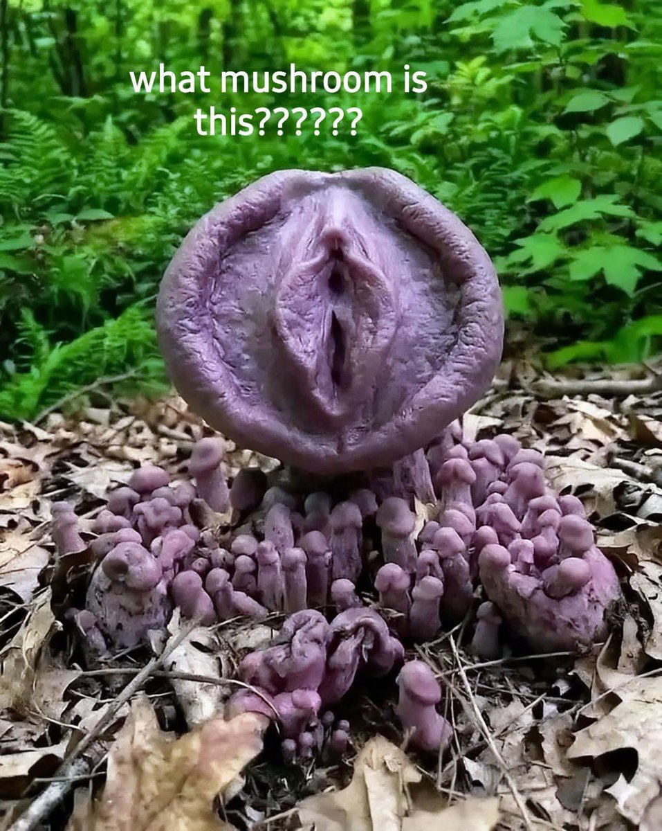 DILLI'S MEMES☠️ tweet media