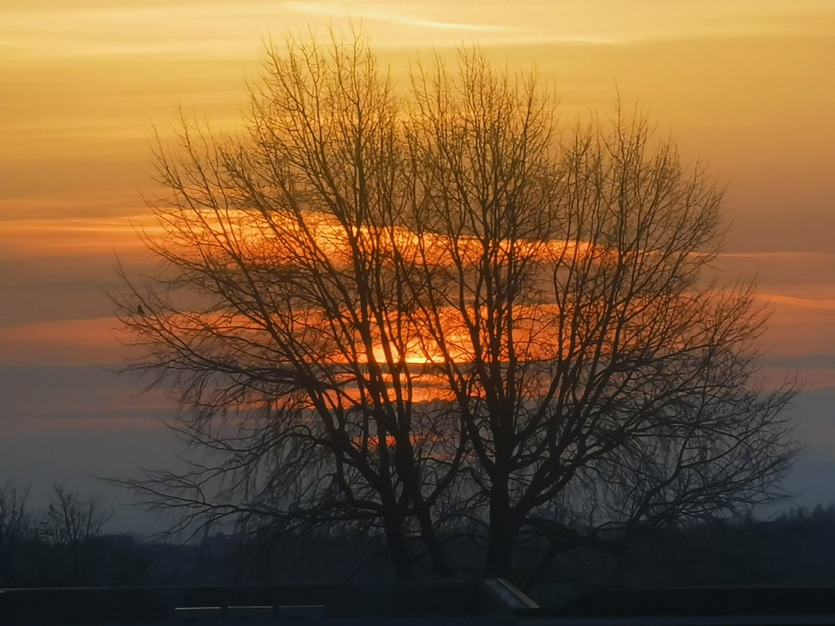 Brian Prydden tweet media