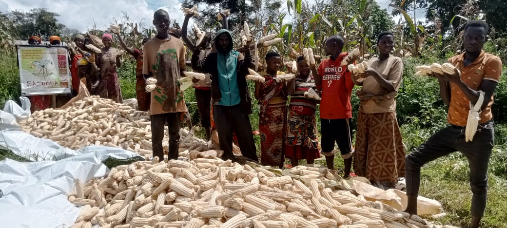 NasecoSeeds's tweet photo. Journรฉe portes ouvertes ร Gatungugwe (Cankuzo, Burundi) ๐ฑ
Merci ร lโAssociation des Batwa pour leur confiance dans nos semences Bazooka. Cap sur une agriculture plus productive ๐ช๐พ
@BMineagrie @FAOBurundi @IFDCBurundi
#Agriculture #Cankuzo #Batwa #nasecoseeds #semencehybrid https://t.co/BN8mRF9inZ