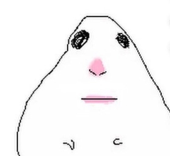 폴크크 tweet media