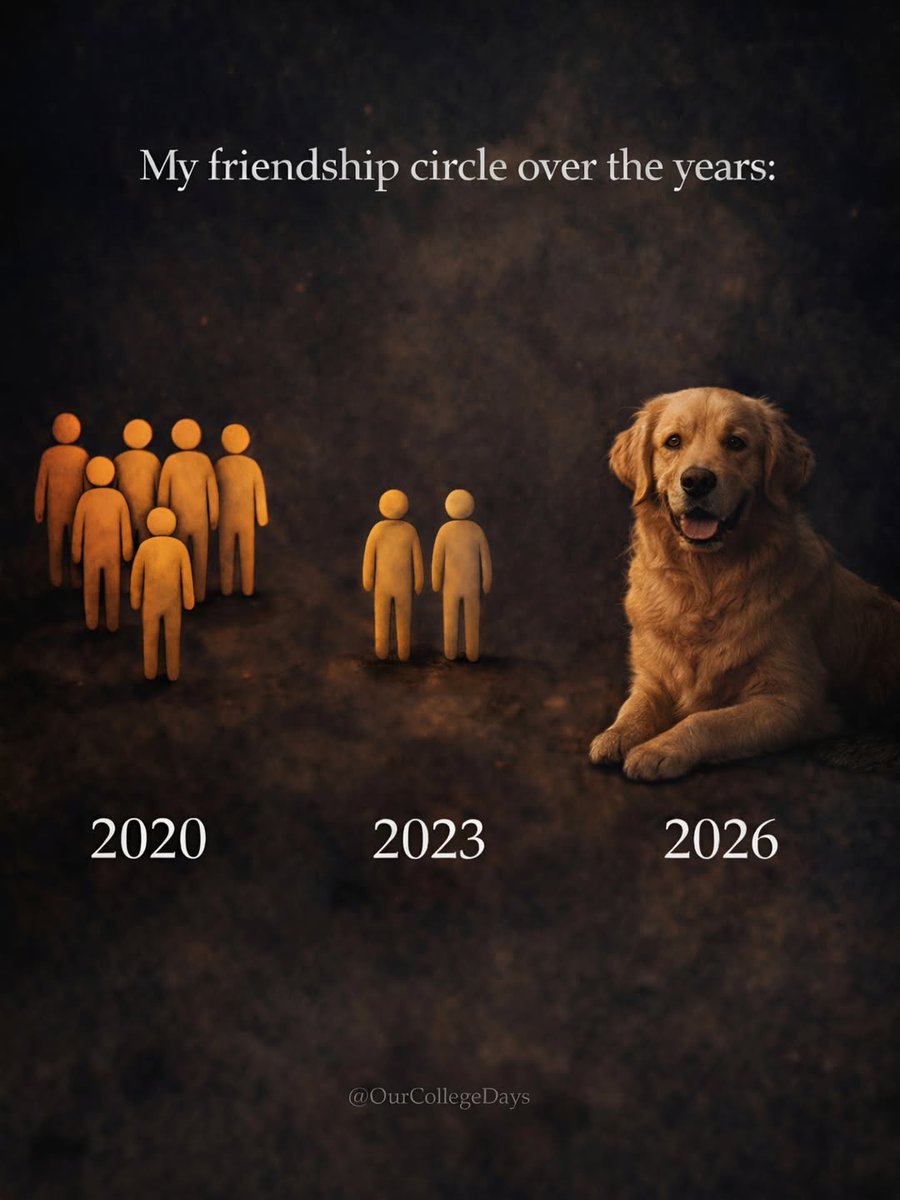 Paw Stories 🐾 tweet media