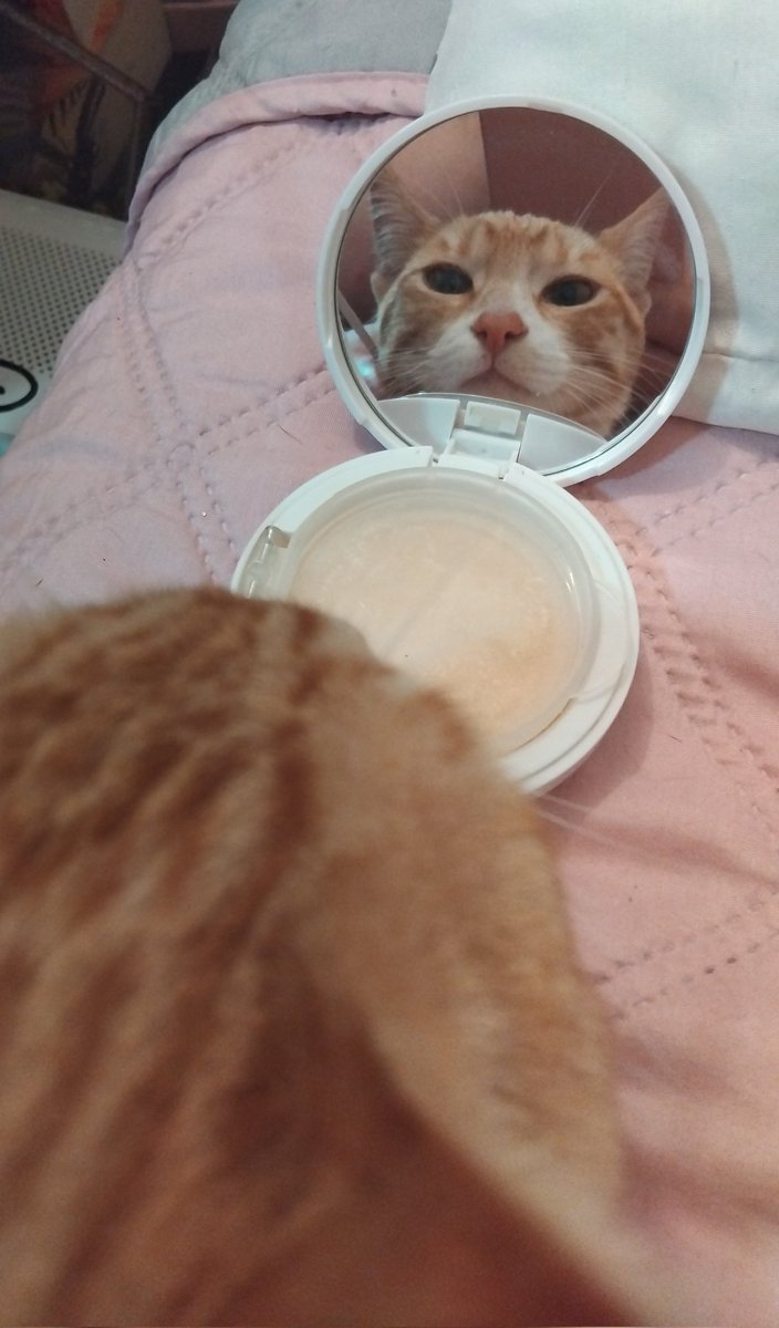 Irán Bal.🎀✨️ tweet media