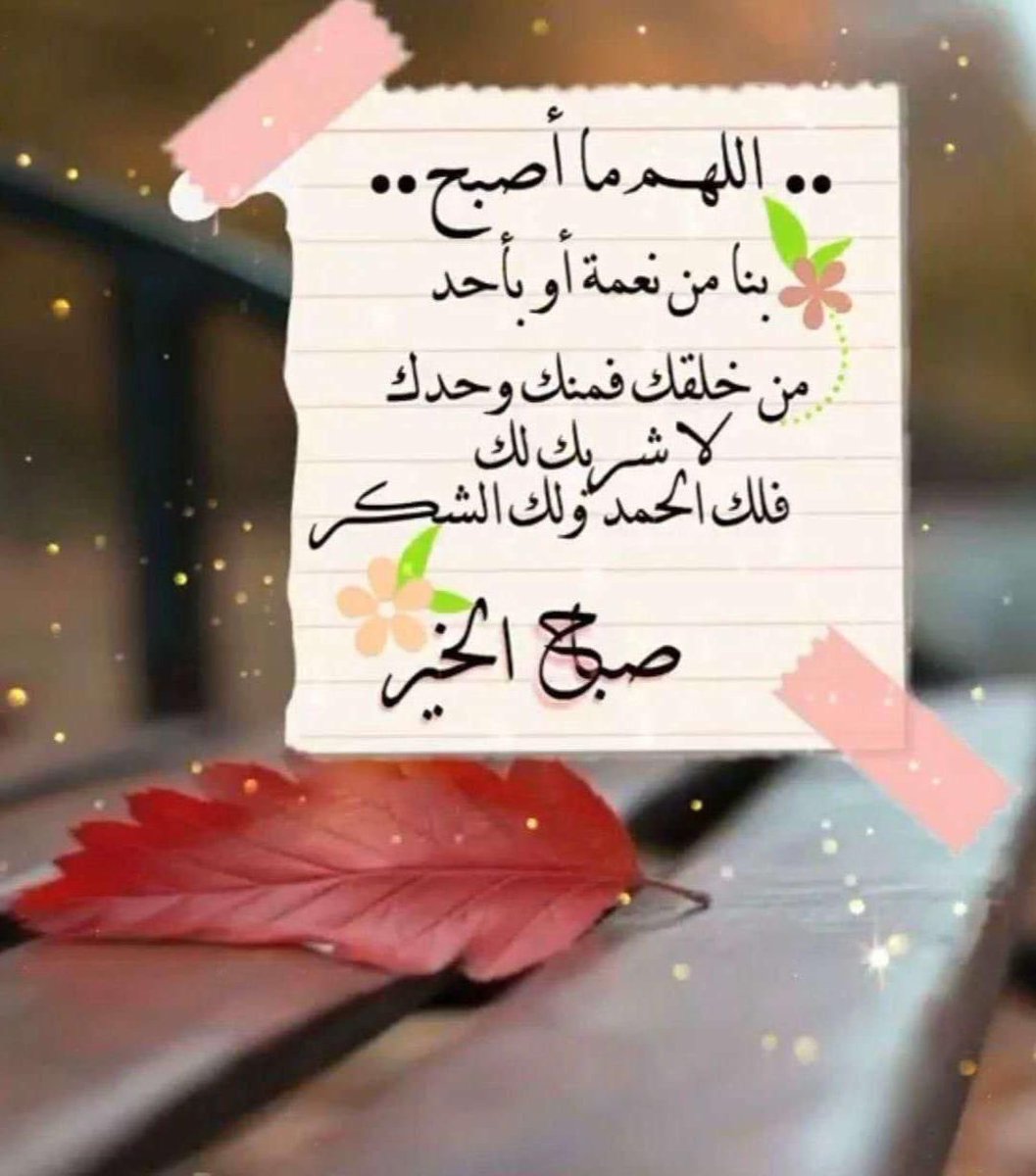 مبارك محمد المياح tweet media