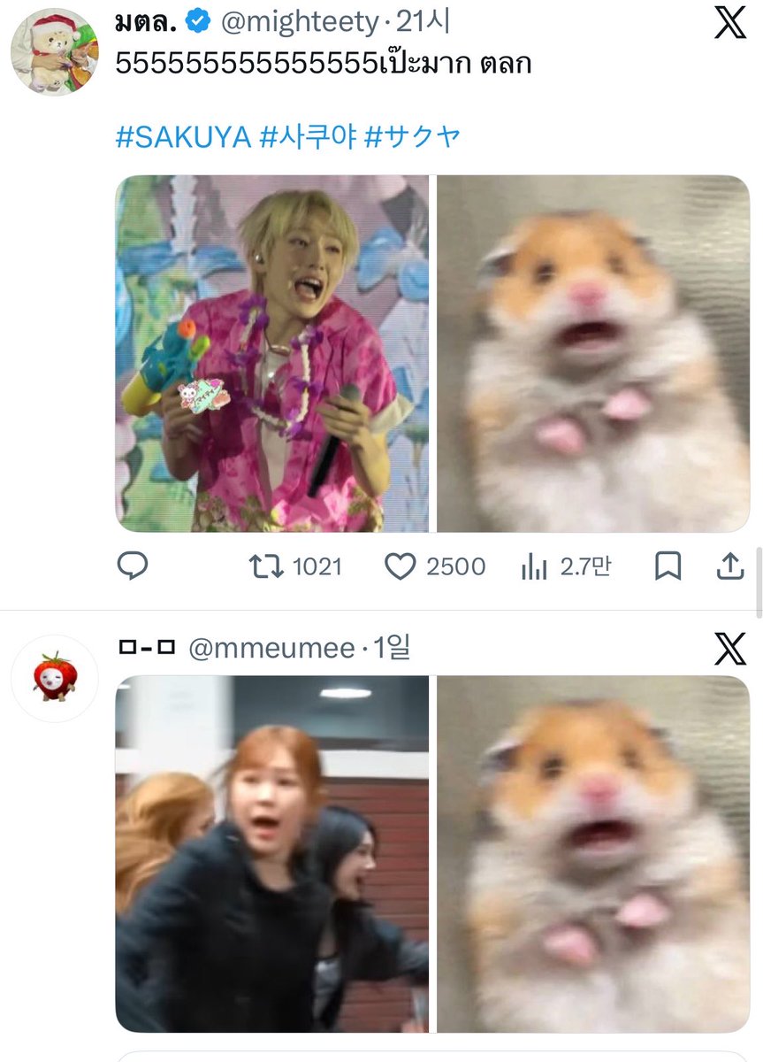 아카짱사쿠 tweet media