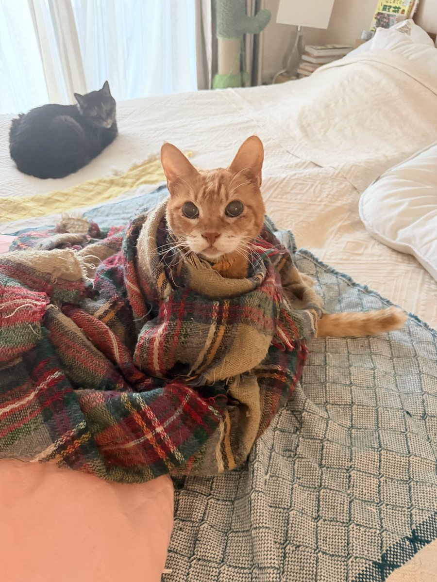 UKIKI & Co. tweet media