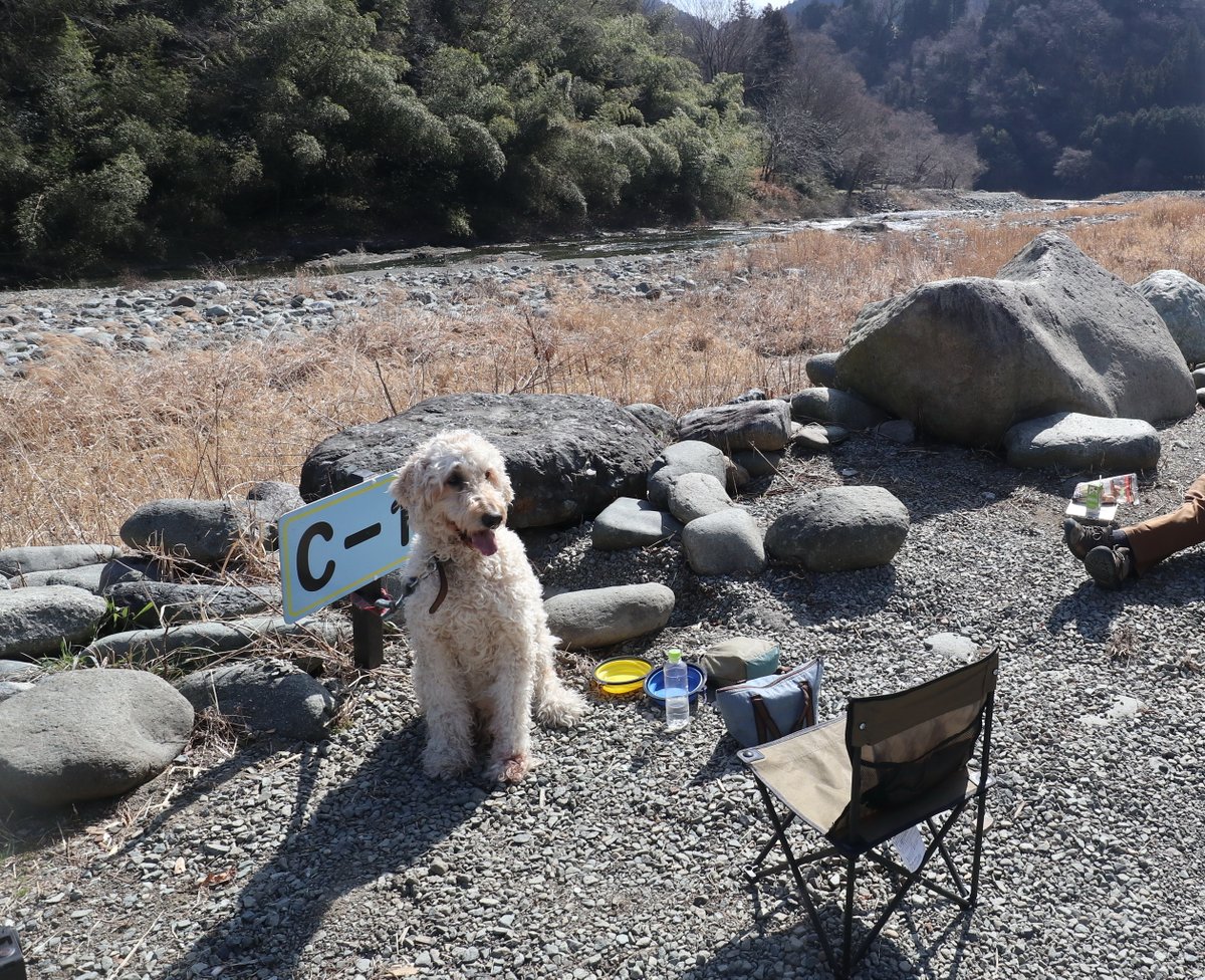 ライ太さん tweet media