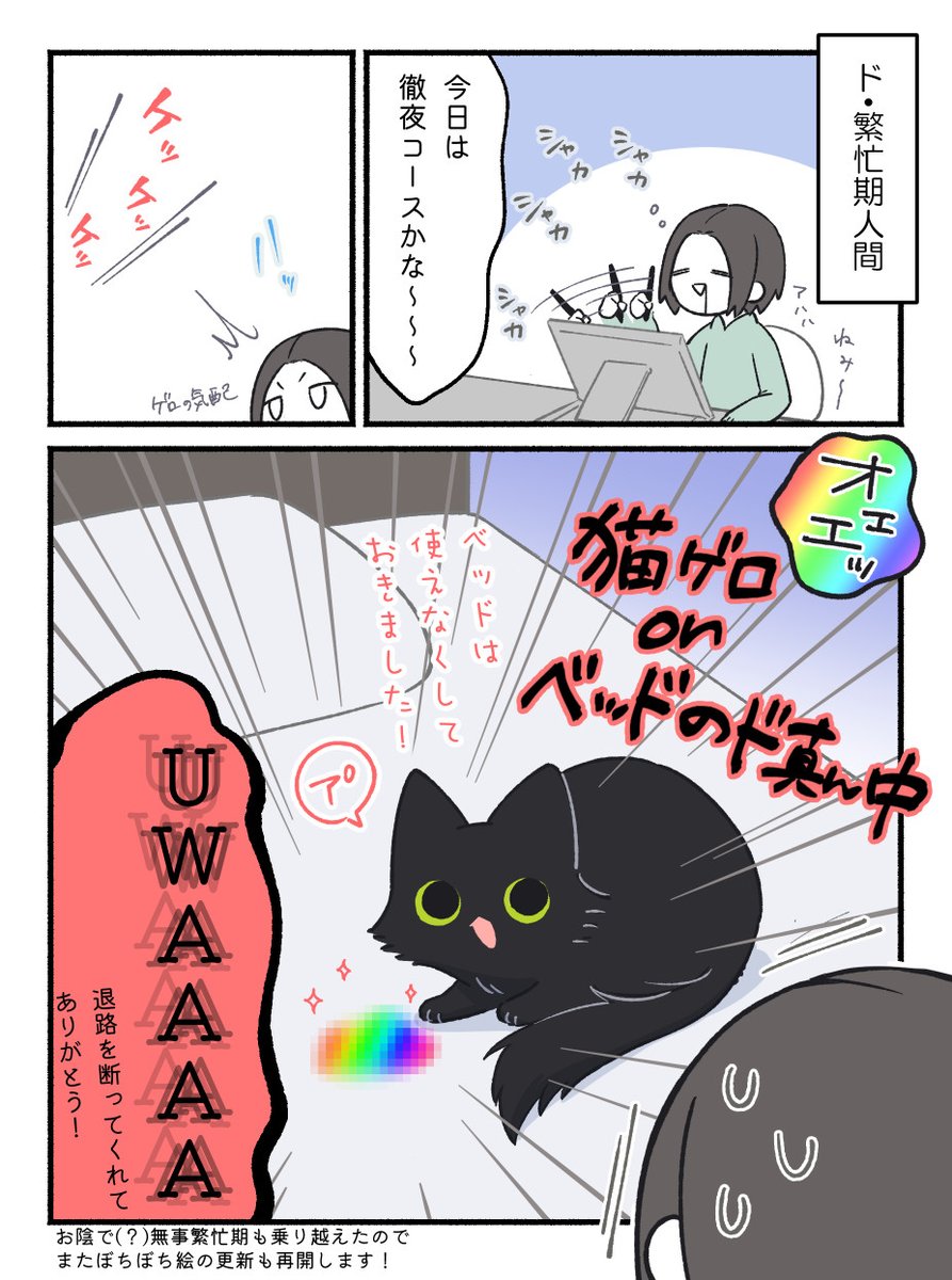 もふのいる生活 tweet media