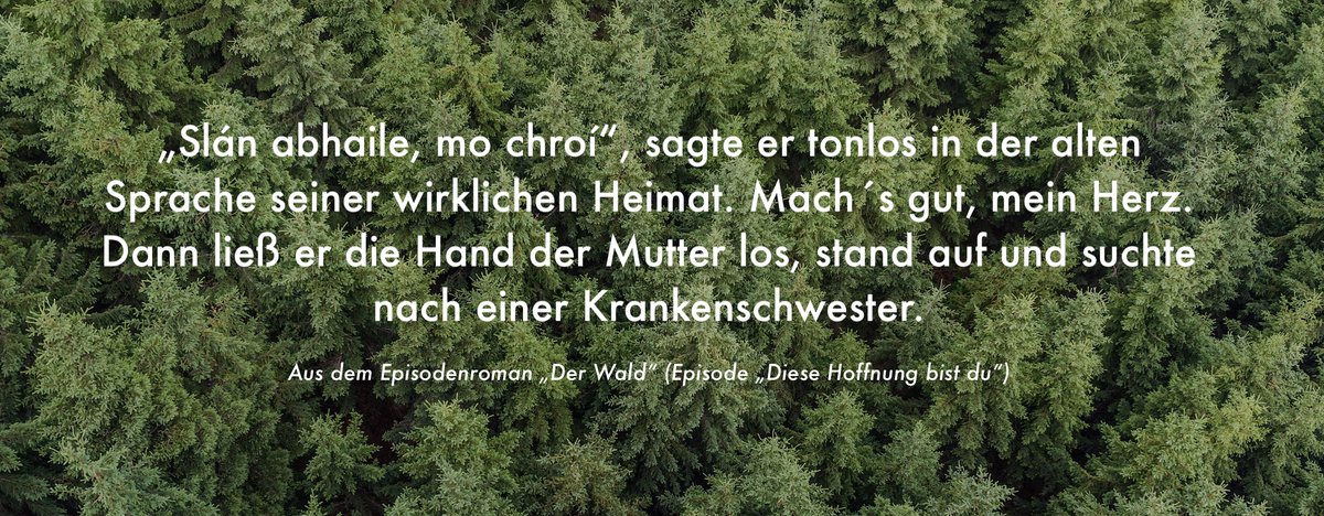Der Roman "Der Wald" erscheint am 28. Mai als Taschenbuch, hier kann man schon jetzt sein Exemplar vorbestellen: writingfactory.at/edition-writin…
