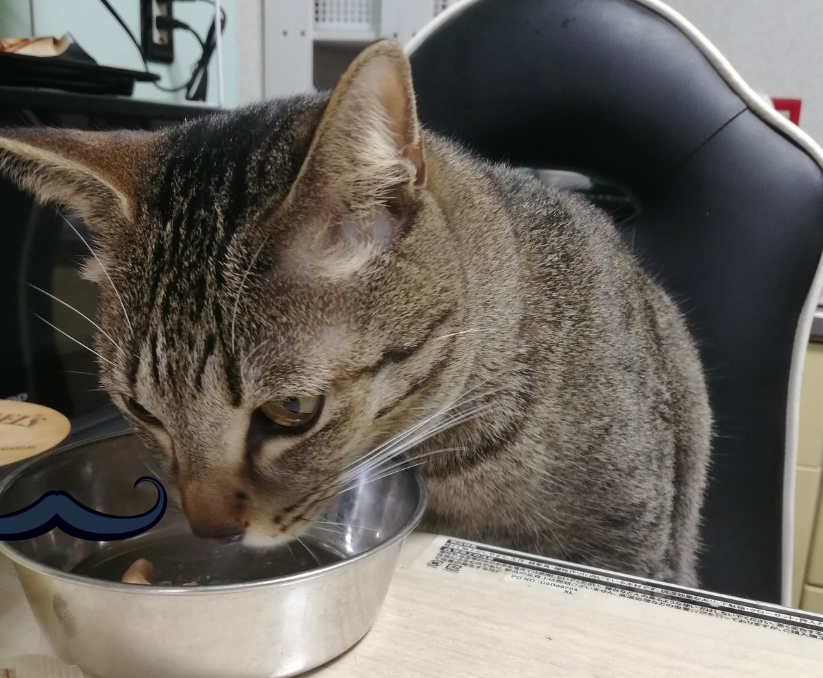 nya_grain's tweet photo. https://t.co/mWnK34oOzD