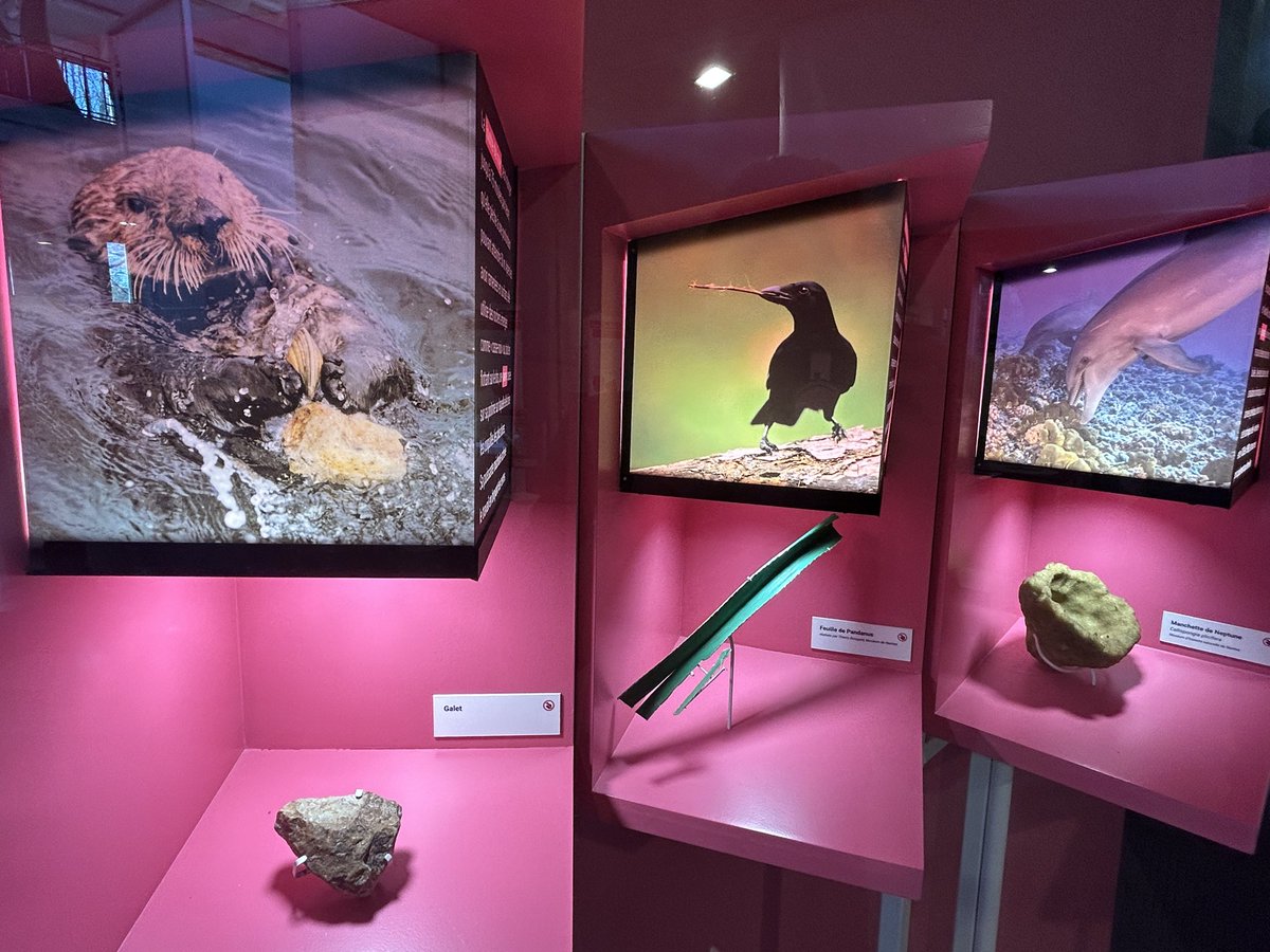 VilleArras's tweet image. [Exposition 🖼️] Hier à été Inaugurée à Cité Nature l’exposition « Intelligences, différentes par nature » met en lumière les formes d’intelligence humaine, animale, végétale et artificielle. À découvrir jusqu’au 28 mars 2027 ✨

#inauguration #arras #exposition