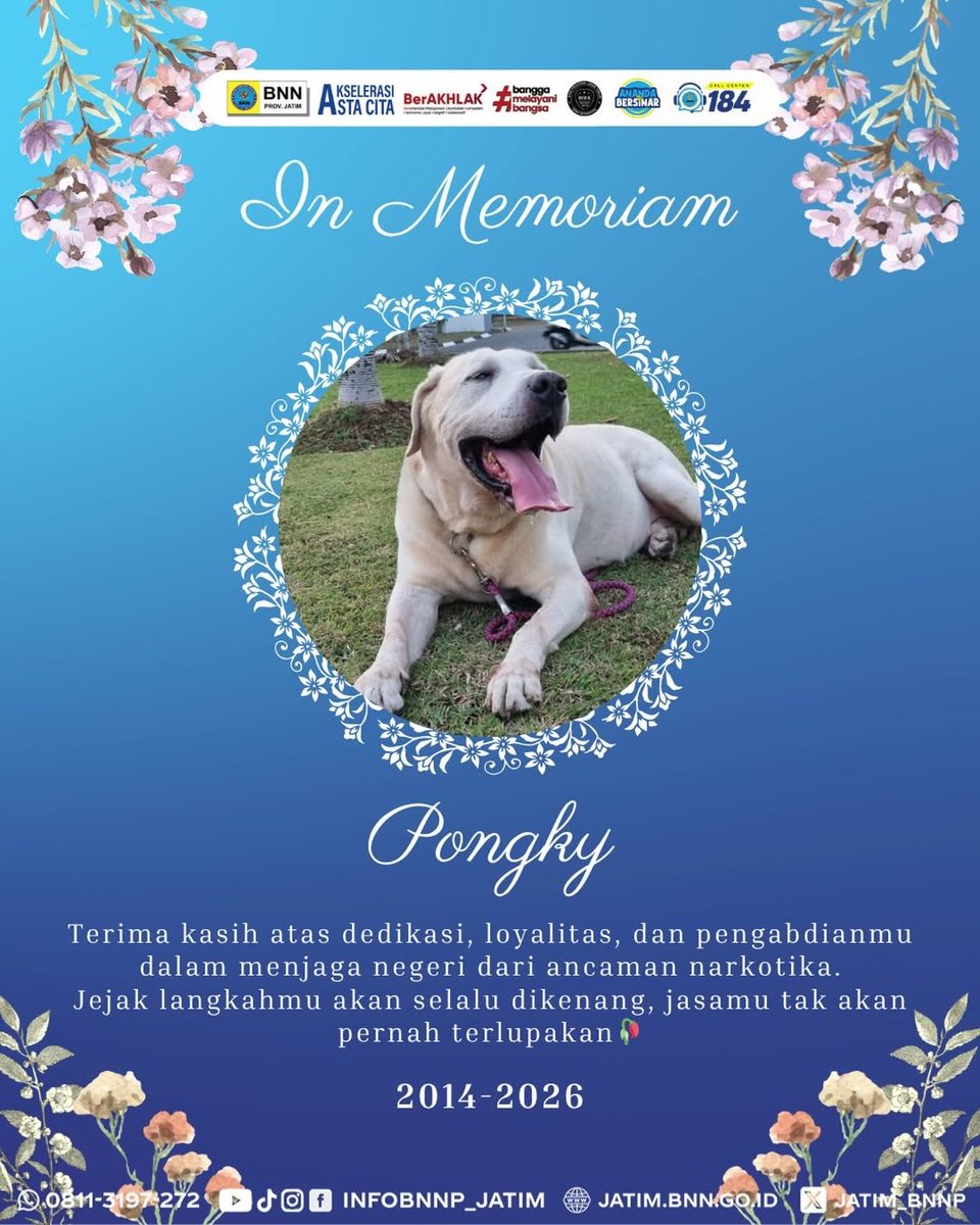 folkative tweet media