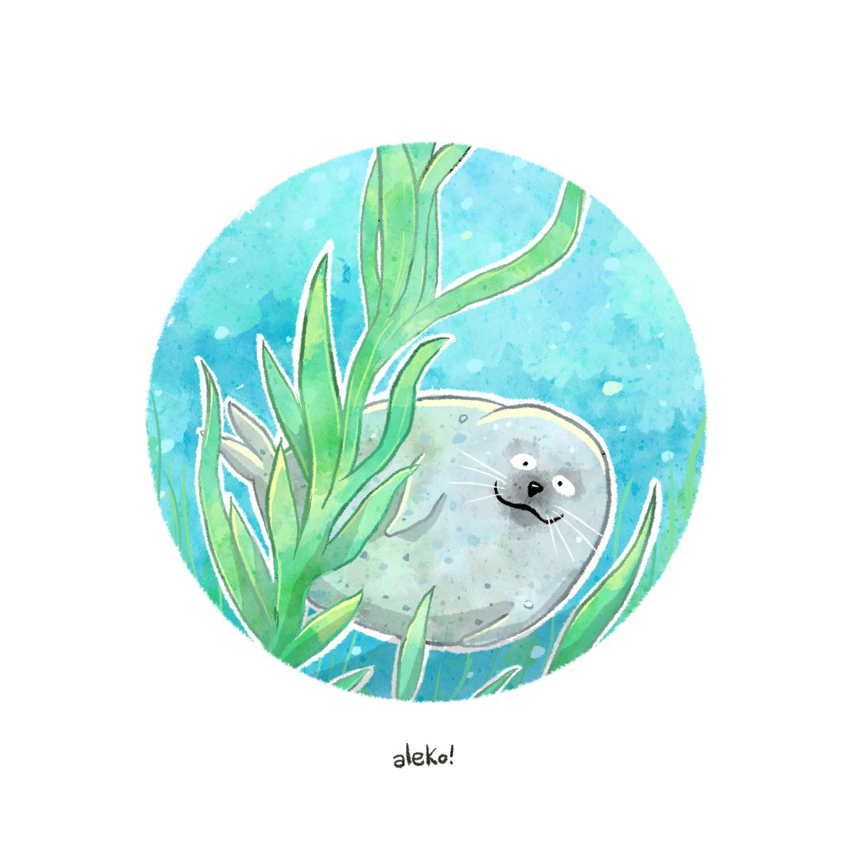 Oh Seally Me! tweet media