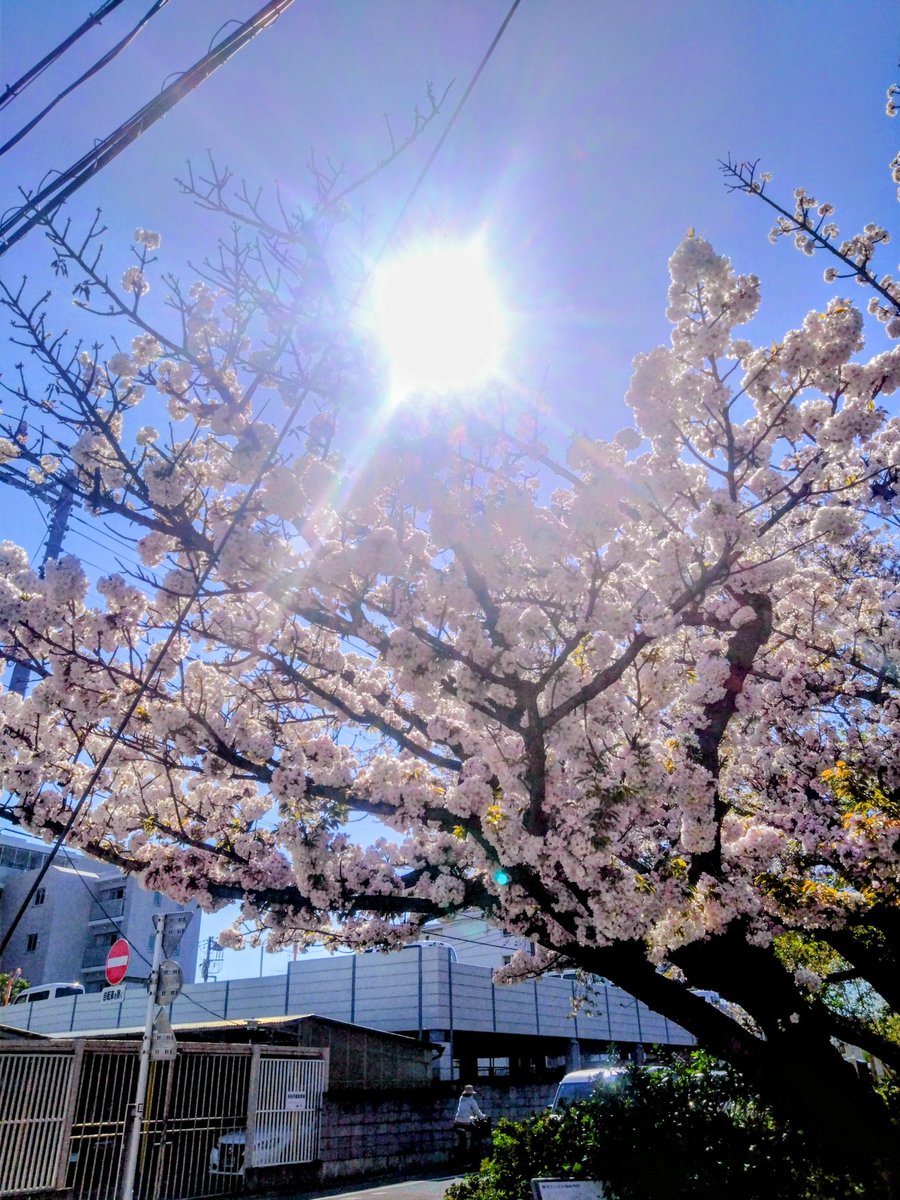 ゲーム屋秀 tweet media