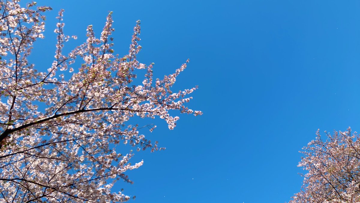 🐶わんこ🐶 tweet media