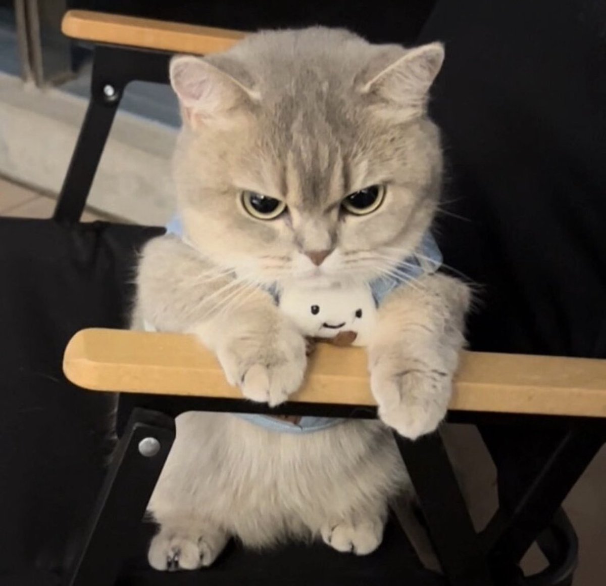 Tha⁷ ִ ࣪𖤐🃏📿 🦇💜🦊🌼🪐 tweet media