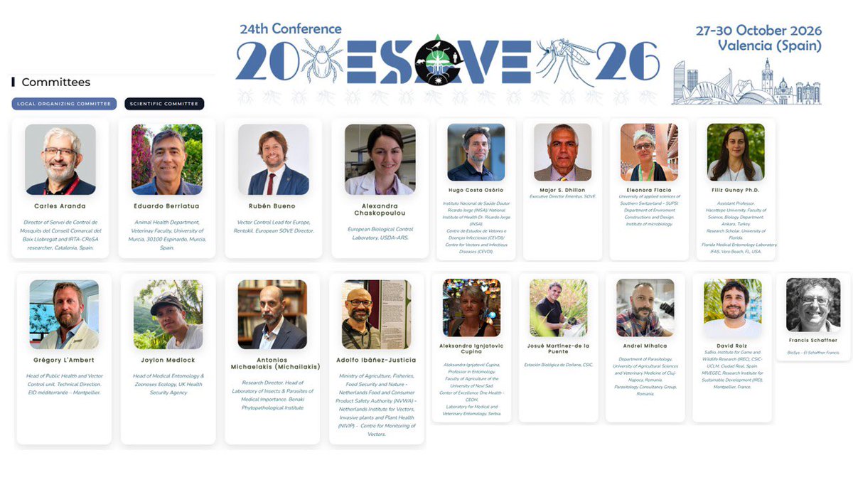 Rubén Bueno tweet media