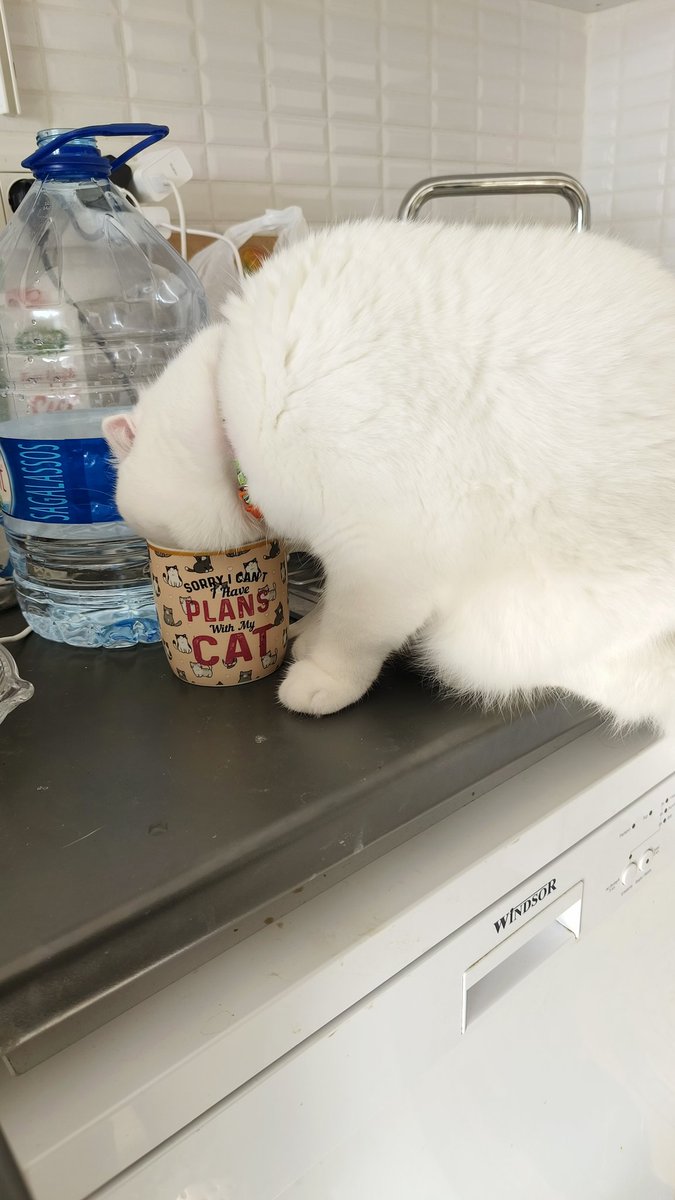 cucucu Gece & Gündüz tweet media