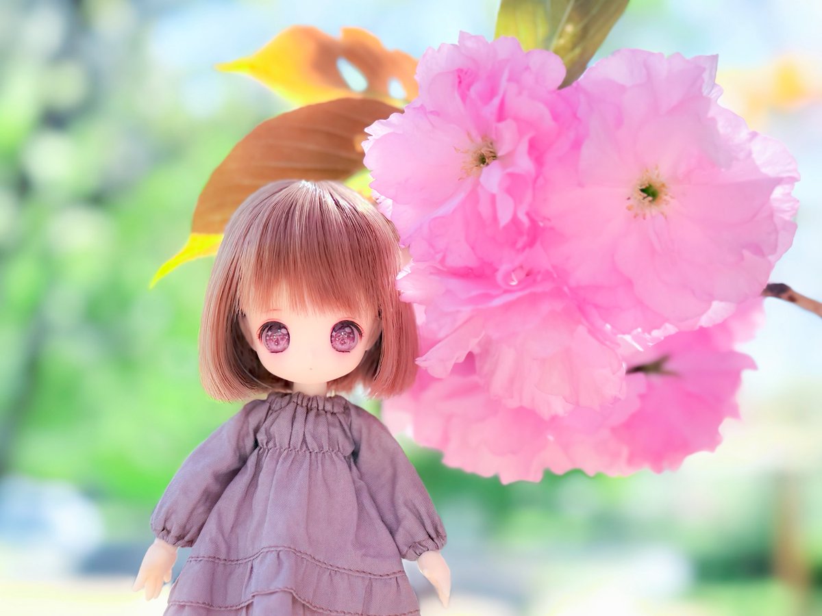 aymrlife's tweet photo. 八重桜も綺麗だね

#第九天獄 #AA服 https://t.co/Ae7qhLiH3z