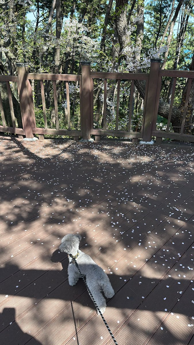 화수은화 tweet media