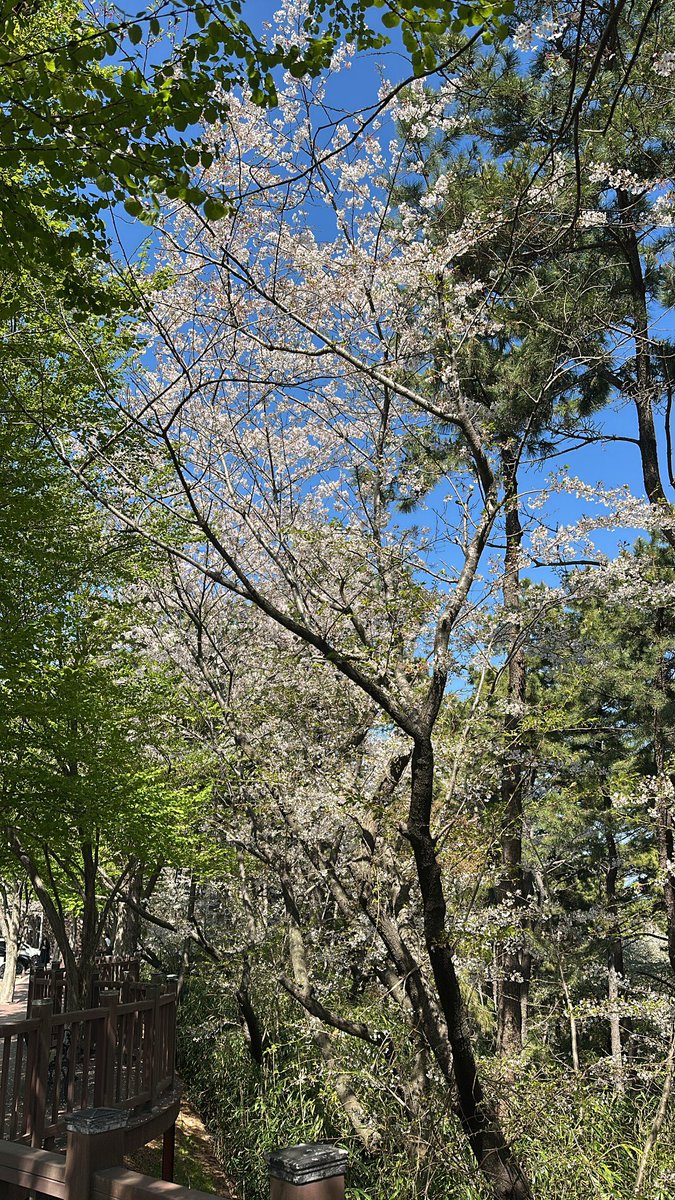 화수은화 tweet media