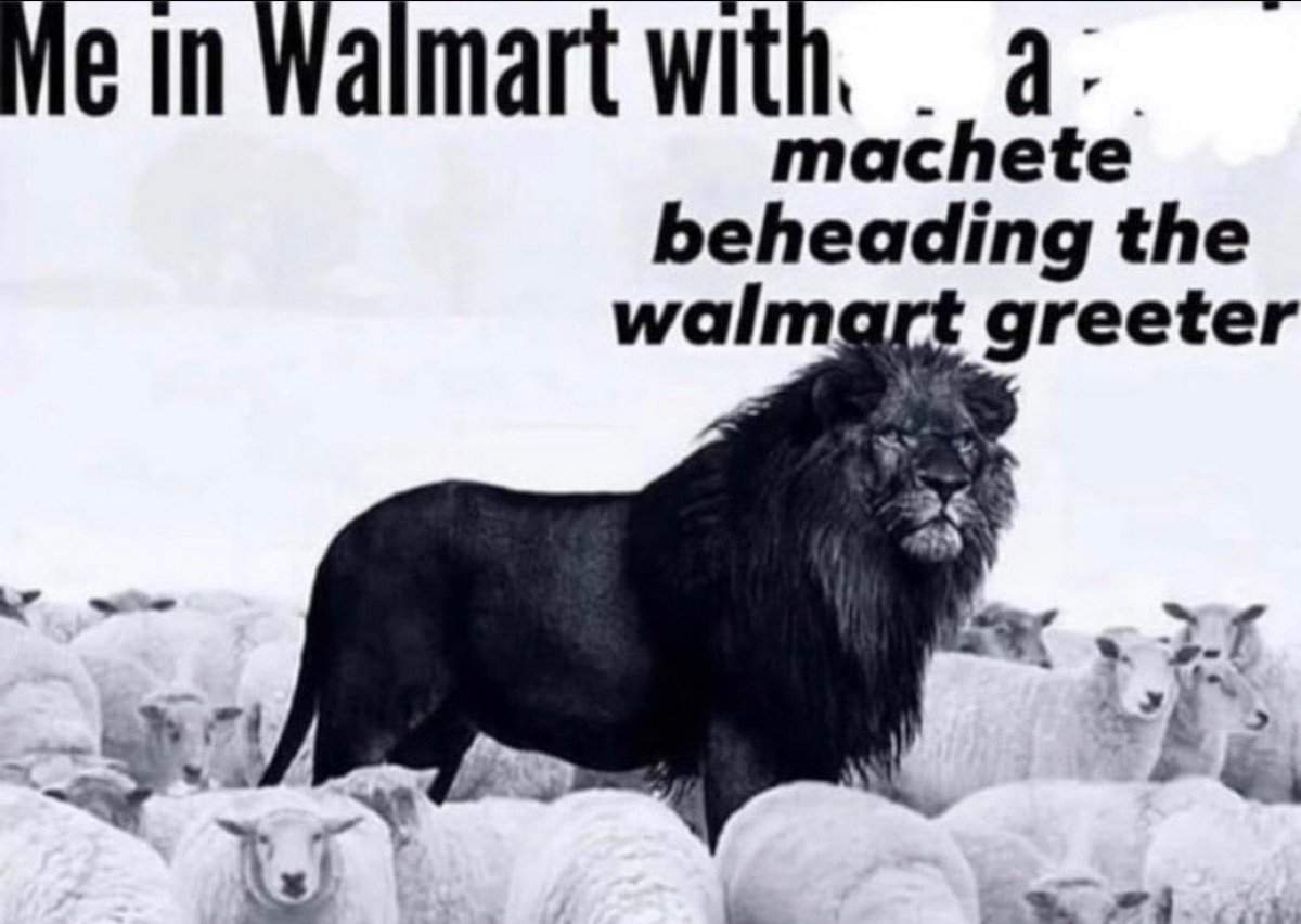 FriendFox tweet media