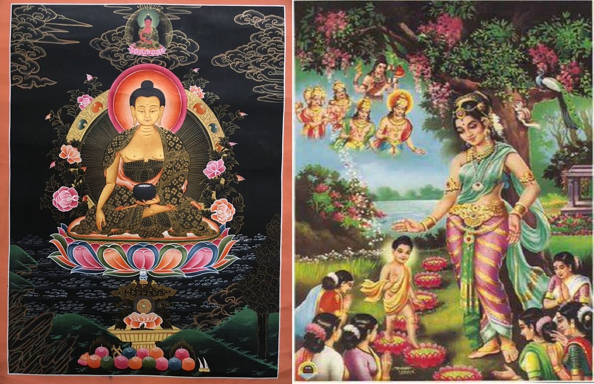 Rev Josho Adrian Cirlea ☸️ tweet media