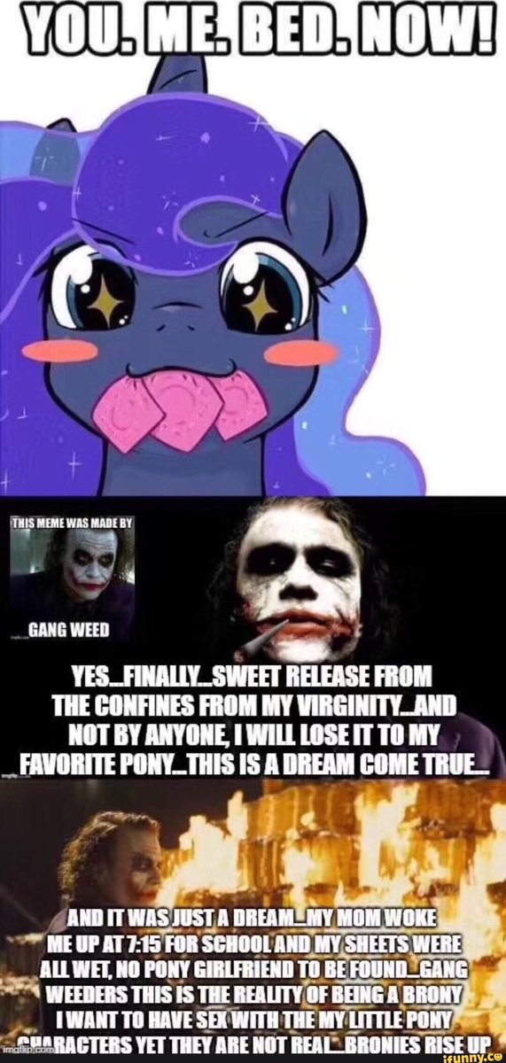 FriendFox tweet media