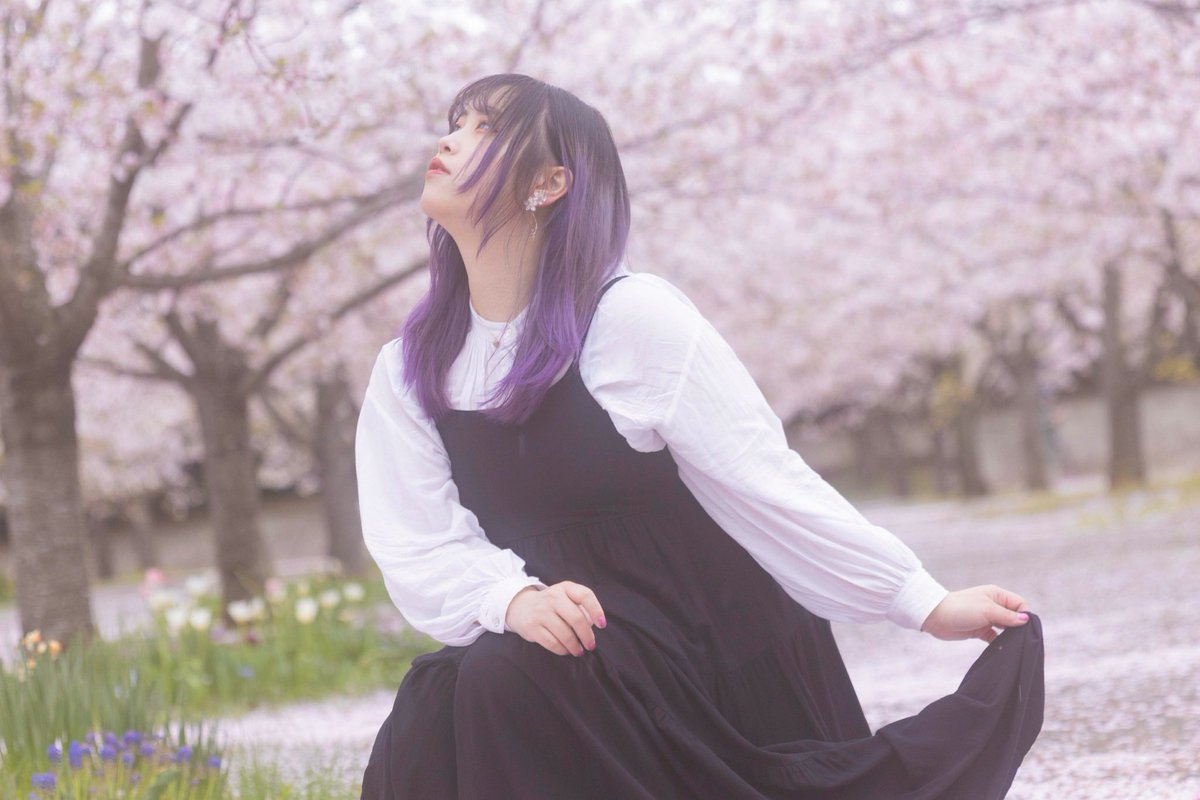 01_RaKo_13's tweet photo. また来年が楽しみ🌸

📸→ https://t.co/ZgBQgvTAKs https://t.co/eqSWpu5LX6