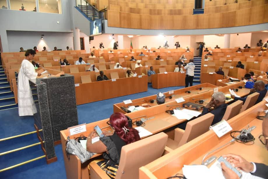 TheCameroonianZ's tweet image. Le projet de loi portant modification de certaines dispositions du Code électoral adopté #Sénat.

#Cameroon