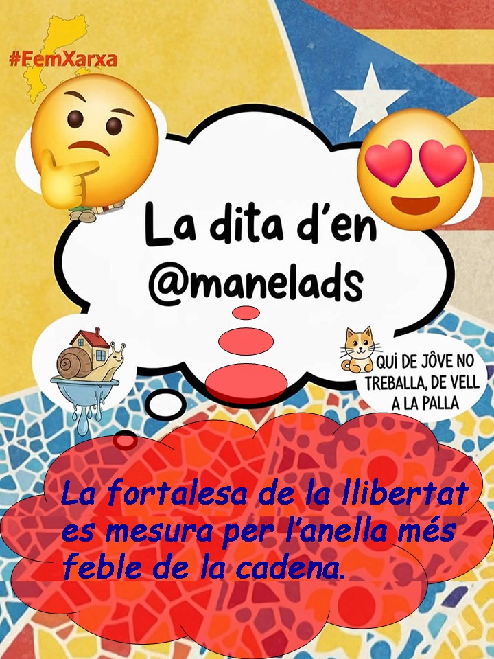 @laxarxaxanante tweet media