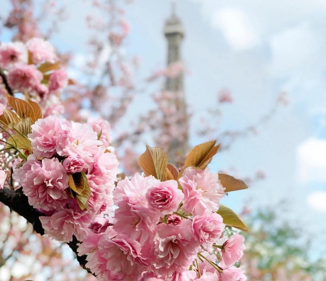 Pilar 🦋 tweet media