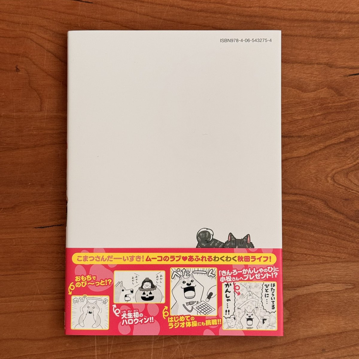 SATO Masayuki MKSD tweet media