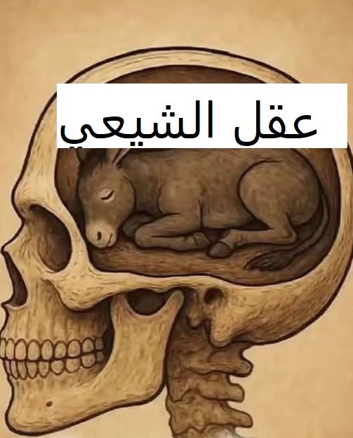 احمد ال جريد🐪 tweet media